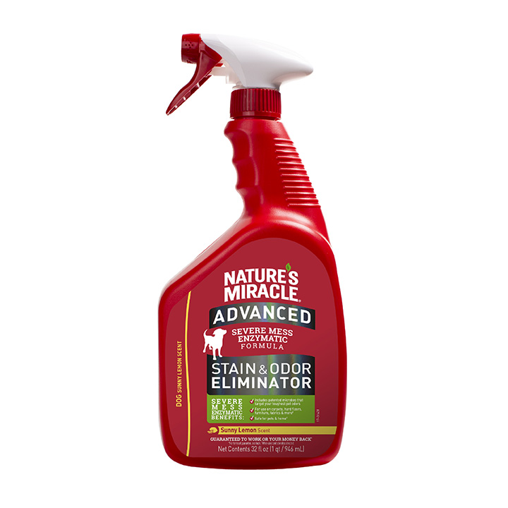 Sunny & honey pet stain and odor remover on sale